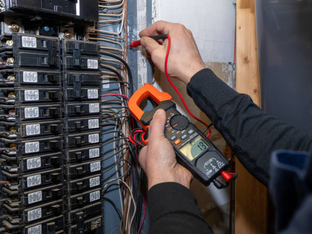 Best Affordable Electrician  in Princeton, MN